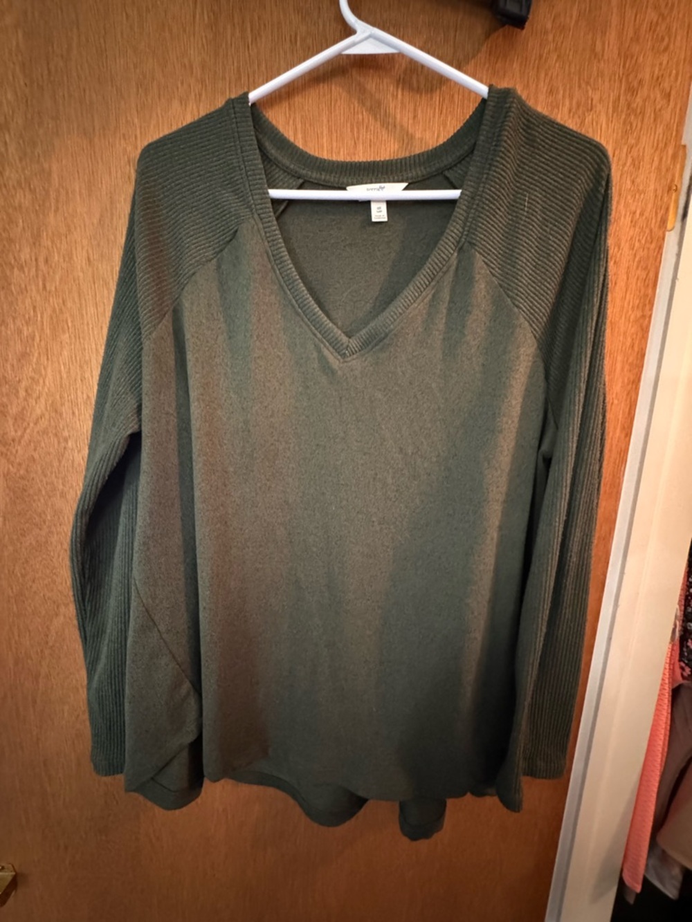 Terra & Sky Olive V-Neck Long Sleeve Pullover
